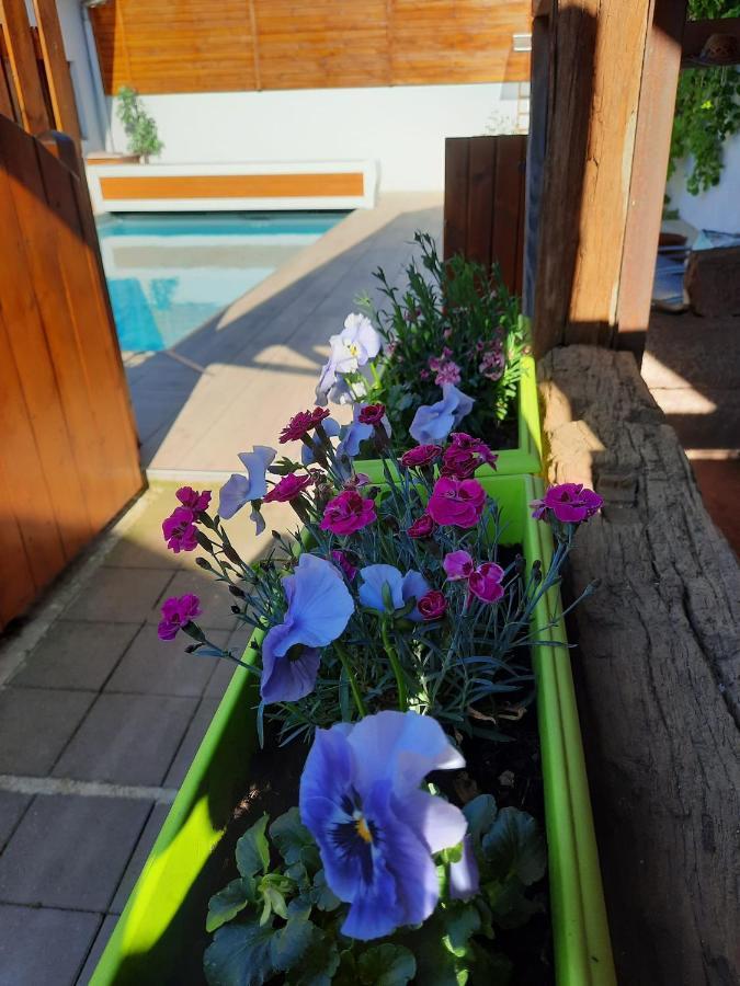 Oasis D'Alsace Villa Valff Kültér fotó